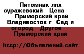 Питомник лпх суражевский › Цена ­ 400 - Приморский край, Владивосток г. Сад и огород » Другое   . Приморский край